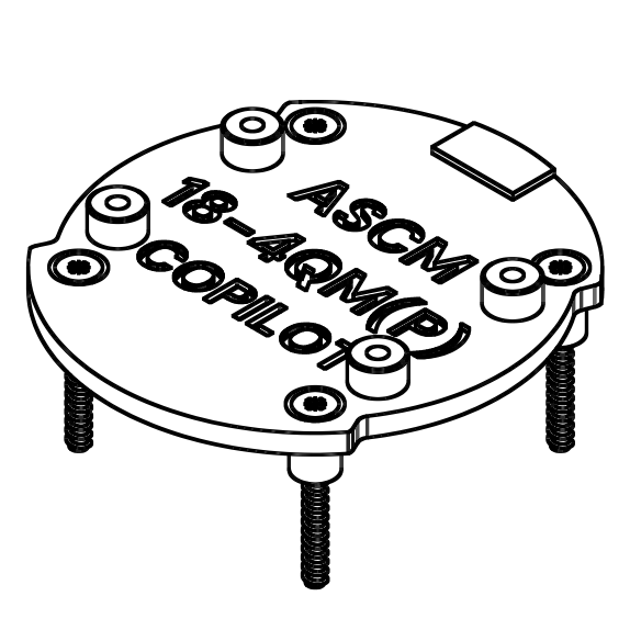 Fein (1).png